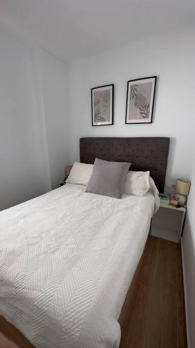 Rockside Residentes Suites La Linea Ла-Линеа-де-ла-Консепсьон Экстерьер фото